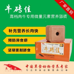 ��ţ��u,ţ������ӄ�,��ţ��u�����X