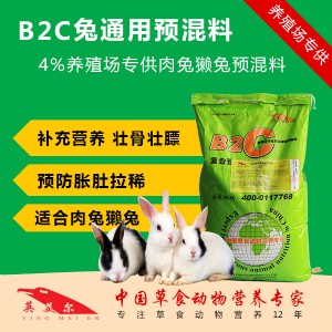 �����A(y��)���ϏS�� �����A(y��)���� �����A(y��)���σr(ji��)��