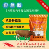 ��ţ��������� ��ţ������������ӄ�