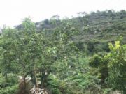 ���ϸɻ���һ����؛