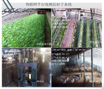 �r�I(y��)���Wϵ�y