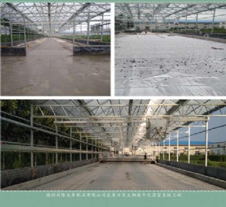 ̫���Ƥ������ɻ�̎��