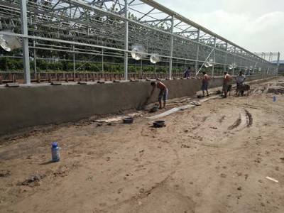 ̫�������ɻ�̎����ҽ��͟��ܳɱ�