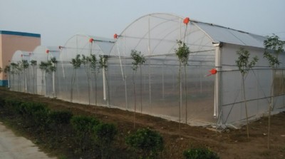 �F(xi��n)�������O(sh��)Ӌ���b