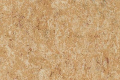 �W�ϼ�ƴ�����z�ذ�r(ji��)��������z�ذ��Ϟ���B(y��ng)