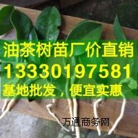 �����Ͳ���,���Ǹ��Ͳ��(sh��)��,�V���J�ݸ߮a(ch��n)�Ͳ���r(ji��)��