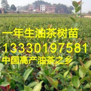 ���������߮a(ch��n)�Ͳ���,�f��,�����h�޽��Ͳ�������l(f��)�r��