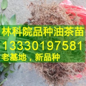 �����M�ݸ߮a�Ͳ���,�Ϫq,���x�޽��Ͳ�������l�r��