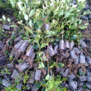 ������,�Ͳ��ј���,�����,���Ә�,ɽ������,���͘���r��