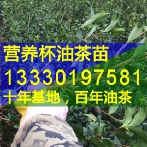 �Ĵ����e�޽��Ͳ���,��Ϫ,����,�L��,�߿h�߮a(ch��n)�Ͳ����r(ji��)��