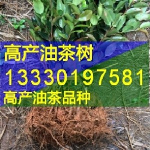 �Ĵ����e�޽��Ͳ���,��h,���B,�d��,��ɽ�߮a(ch��n)�Ͳ�������l(f��)�r(ji��)