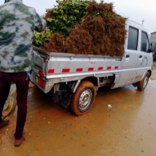 �L��4̖,40̖,53̖,3̖,18̖�Ͳ���,�߮a�Ͳ����Ի�