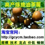 �߮a�Ͳ���,ϼ��,����,���ϼ޽��Ͳ����r��,��������