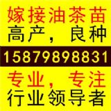 �޽��Ͳ���,���l(f��)����,����,����,�V�|,�㽭,����,����,��