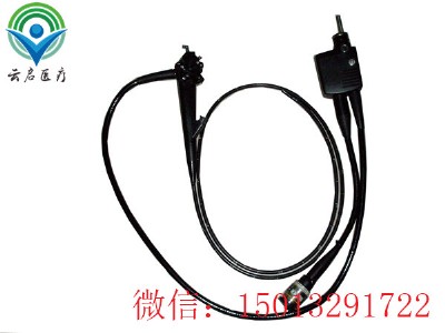 ֧����R�S��