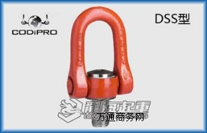 �Rɭ��CODIPRO DSS�����D���hҎ�� ����������