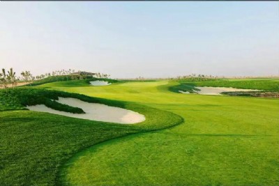 �ߠ�����X_���ԃr�������ƺ_�ٲ�ƺ_������e��