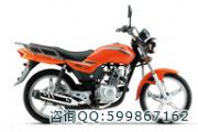 �������� suzuki �ľ ����gd110(�A����)Ħ��܇