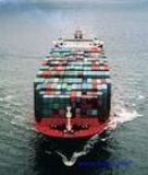 �Ϻ������|���b�亣�\�M�����X(�D)