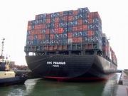 ��ɽ������\���\���b��