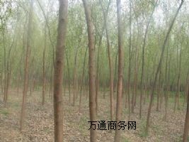 �ӱ����� �ӱ��ഹ���� �ӱ��ഹ���r��