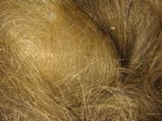 �U�~����