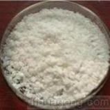 �������|������ͪ����������ă�