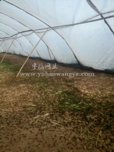 ���x�Bֳ�W