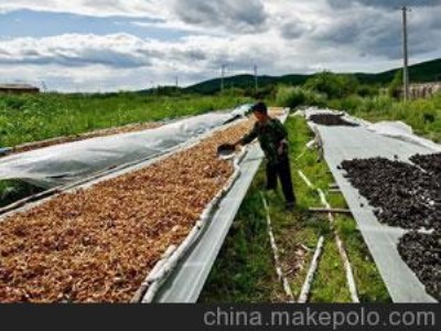 �~(y��)������W(w��ng)