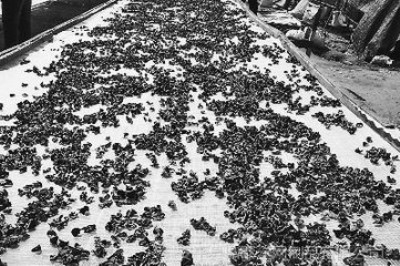 ���Ѹ�����W