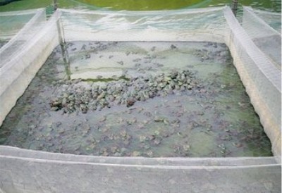 �����Bֳ�W