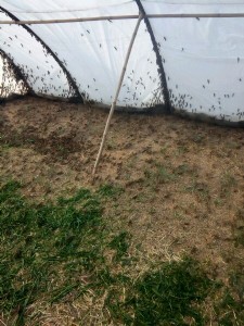 �h��Λ�ƾW(w��ng)