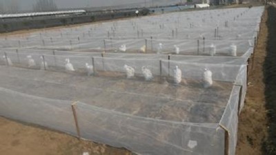 ���ϻ�Λ�ƾW