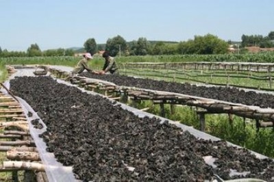 ���ϳ��� �h�������Bֳ�W ��W ��������W �����⾀