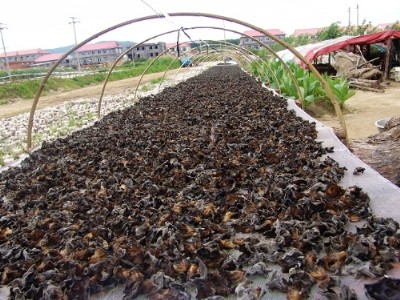 �Ĵ��h������W(w��ng) ���u�B(y��ng)ֳ�W(w��ng) ���x�B(y��ng)ֳ�W(w��ng)�� ֧�ֶ���