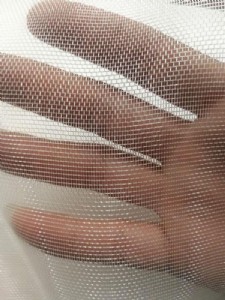 �h���Bֳ�W �����Bֳ�W ����Wȫ���� ����A