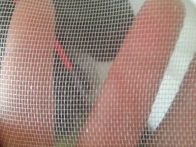 ���l�h�� ���x�Bֳ�W �Y��������������W ����