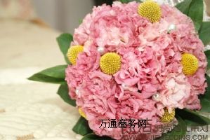 ���u��c�ļ�