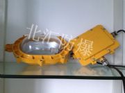 ������BFC8120�Ȉ��������ⷺ���  ���̑���������