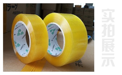 ����z��͸���z�������z��