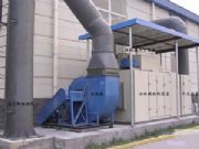 �����F̎�����C