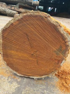 ӡ�Ფ�}��Ž���� ӡ�Ფ�}��ӹ��S ӡ�Ფ�}��ľ����