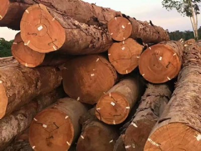 ӡ�Ფ�}��¹��R ӡ�Ფ�}����ӆ�� ӡ�Ფ�}��ӹ��S