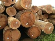 ����ӡ�Ფ�}��S��ֱ�N ��h���޲��}��r�� ӡ�Ფ�}��S