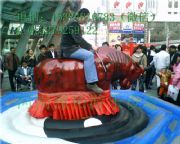 ����ţ�Cȫ�� ���������Я���ţ�C