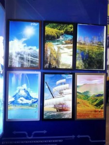 �S�Ҍ��I(y��)����led���� ���Ϳ�����������