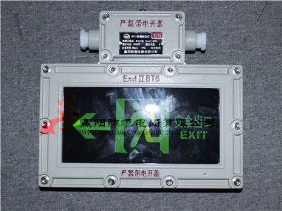 供應(yīng)BAYD防爆標(biāo)志燈 防爆標(biāo)志燈廠家,防爆標(biāo)志燈報(bào)價(jià)