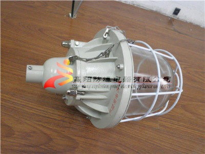 供應(yīng)DCd-250隔爆型防爆燈,防爆燈規(guī)格,防爆燈IIB級(jí)