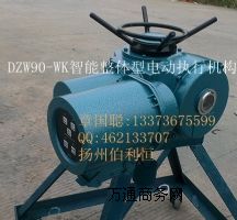 ����DZW20-24-TOO-1WK���ܷ���ʽ늄��b��