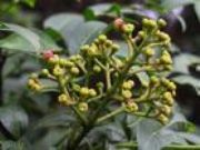 ������κ������ ؐĸ�ؼ� ؐĸ���� �B�N��